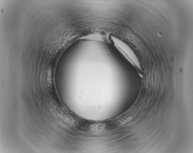 X0000086920700200705071328