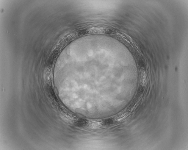 X0000086920701200705071328