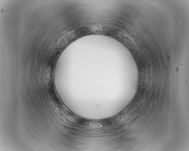 X0000086920702200705071328