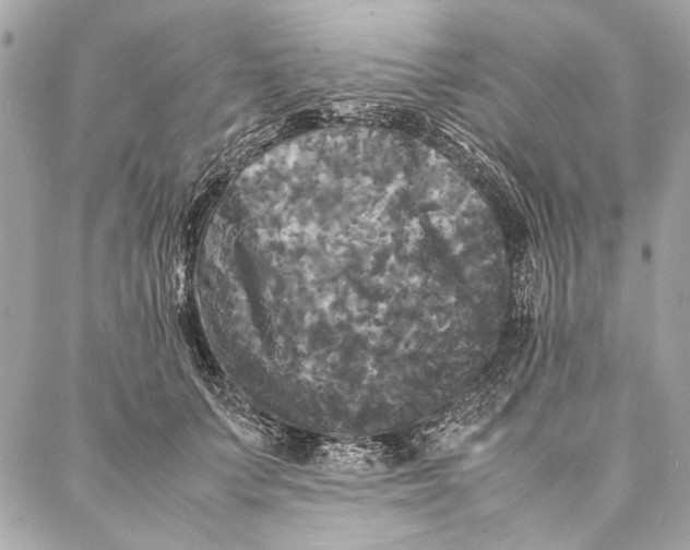 X0000086920703200705071328