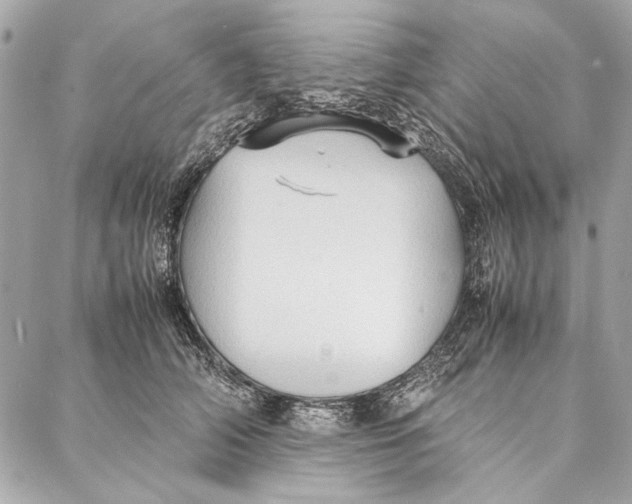 X0000086920706200705071328