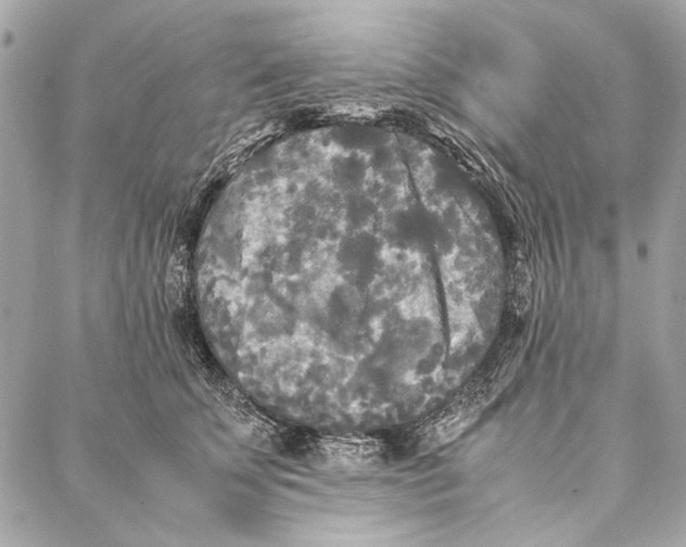 X0000086920707200705071328