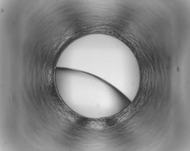 X0000086920708200705071328