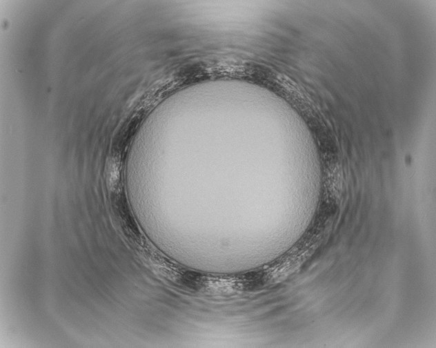 X0000086920709200705071328