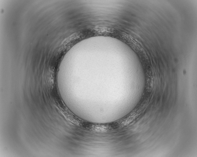 X0000086920710200705071328