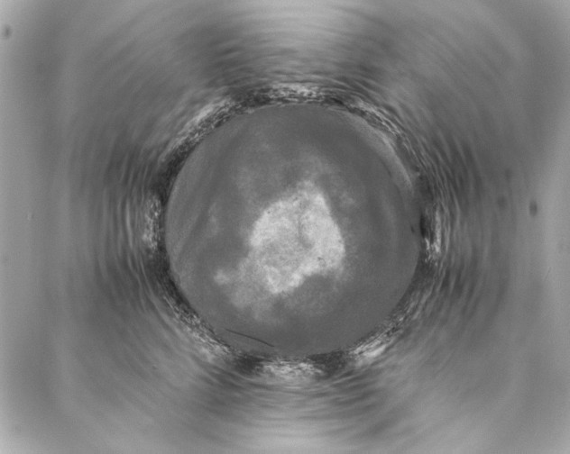 X0000086920712200705071328