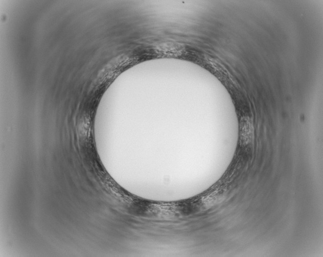 X0000086920713200705071328