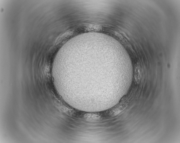 X0000086920714200705071328