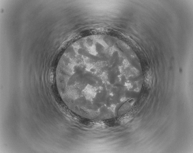 X0000086920715200705071328