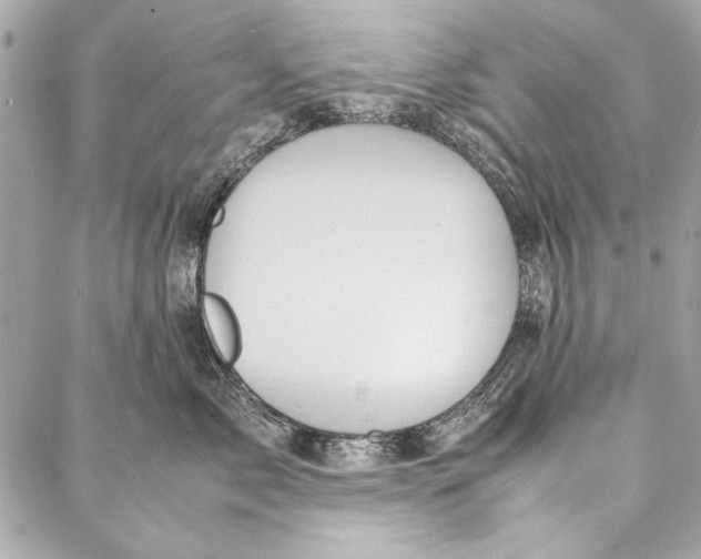 X0000086920717200705071328