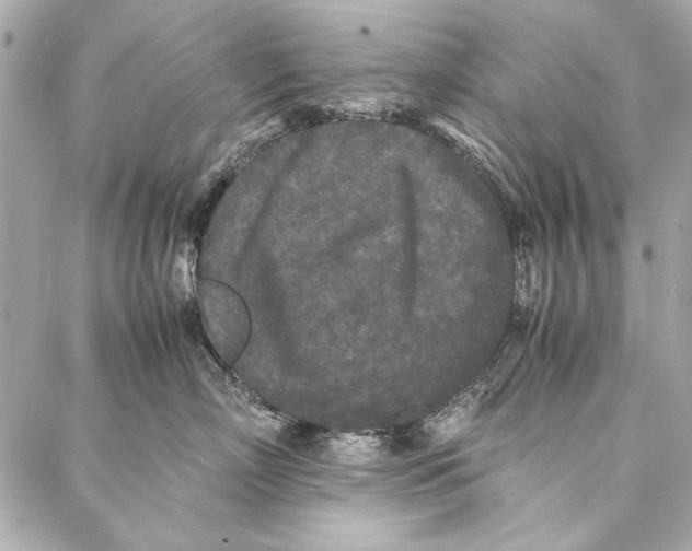 X0000086920718200705071328