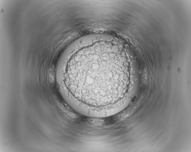 X0000086920719200705071328