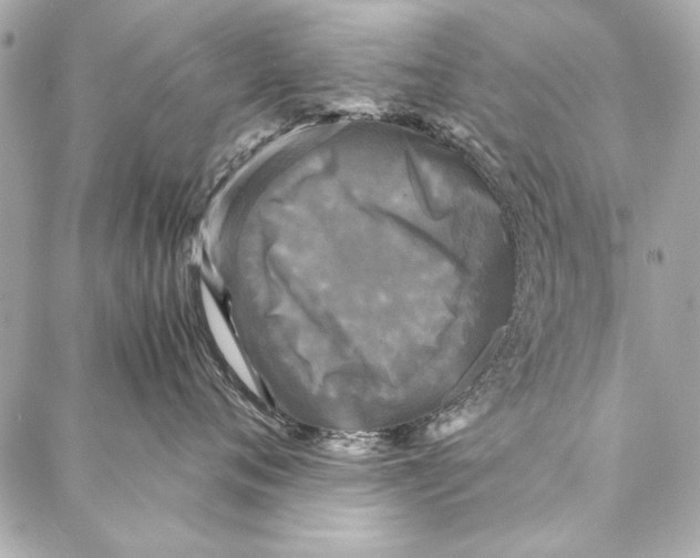 X0000086920720200705071328