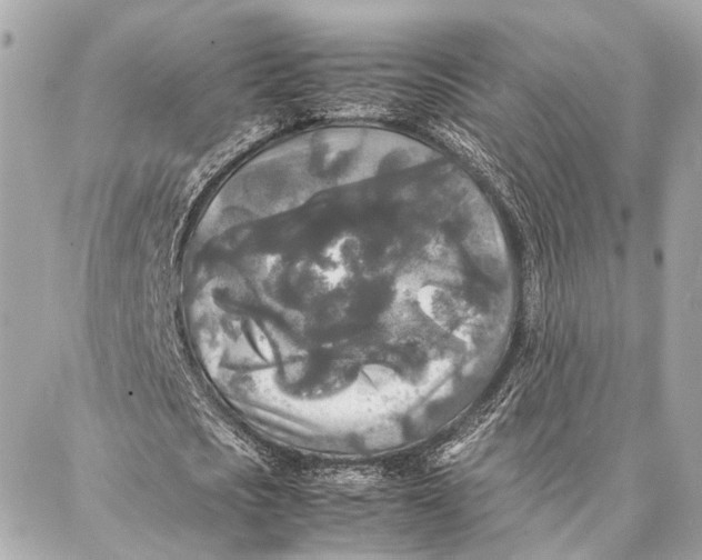 X0000086920721200705071327