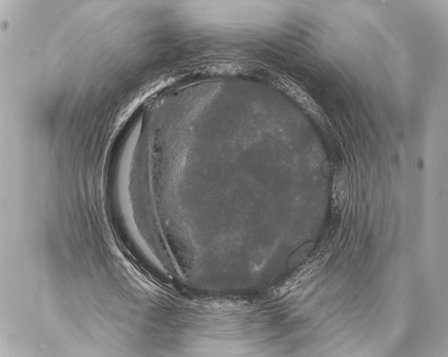 X0000086920722200705071327