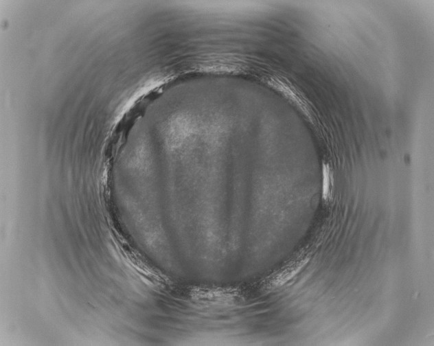 X0000086920723200705071327