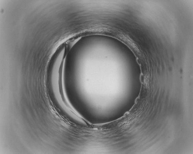 X0000086920724200705071327