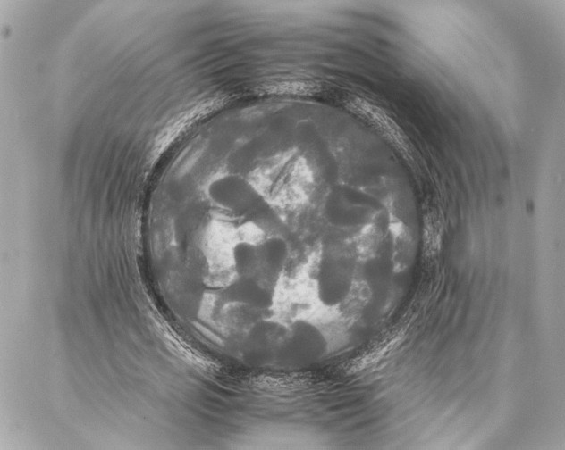 X0000086920725200705071327