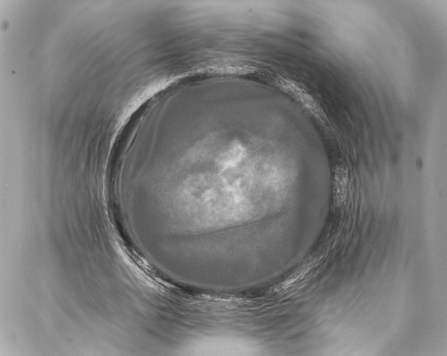 X0000086920726200705071327