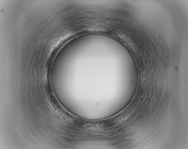 X0000086920727200705071327