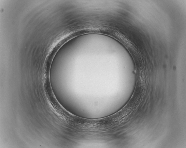 X0000086920728200705071327