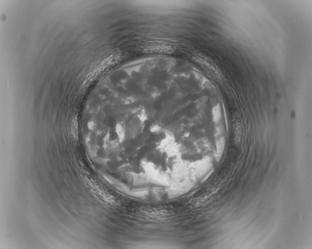 X0000086920729200705071327