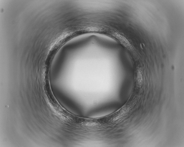 X0000086920730200705071327