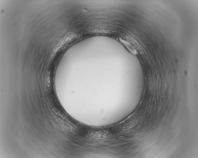 X0000086920731200705071327