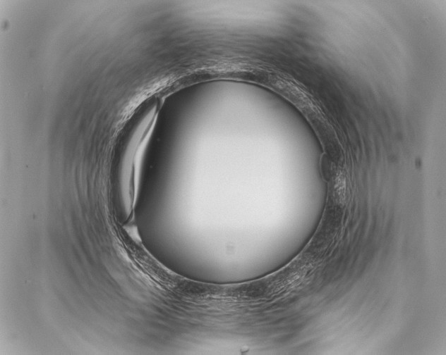 X0000086920732200705071327