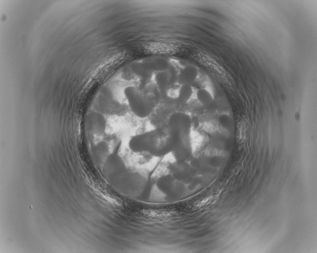 X0000086920733200705071327