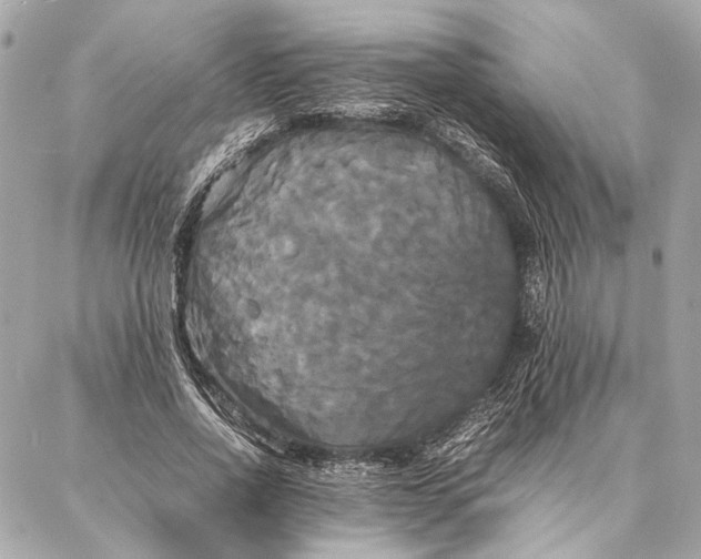 X0000086920734200705071327