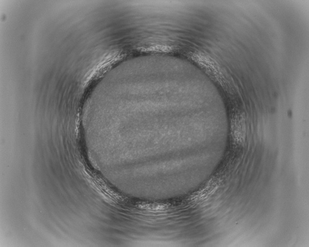 X0000086920735200705071327