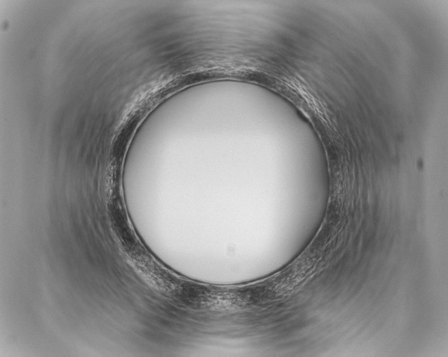 X0000086920736200705071327