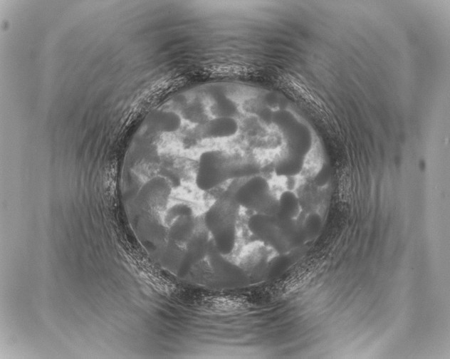 X0000086920737200705071327