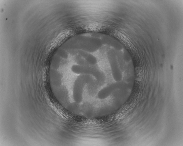 X0000086920738200705071327