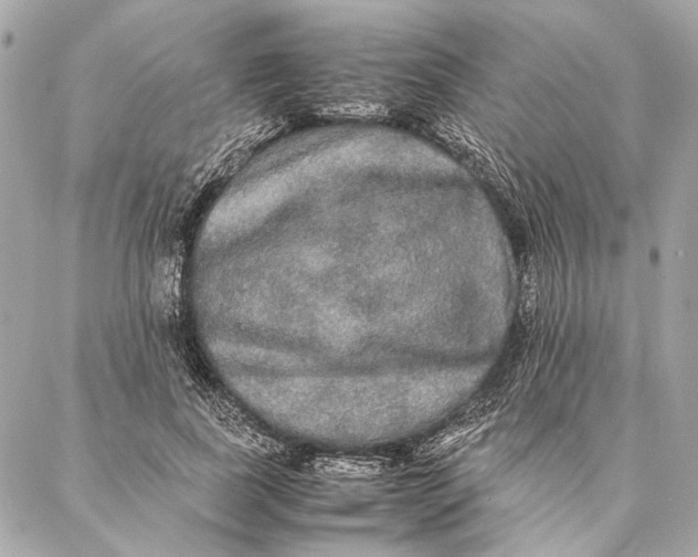 X0000086920739200705071327