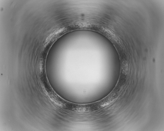 X0000086920740200705071327