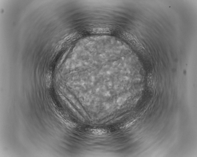 X0000086920741200705071327