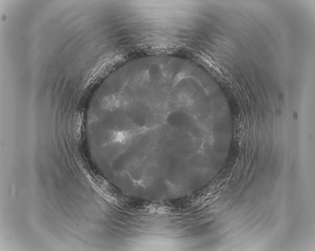 X0000086920742200705071327