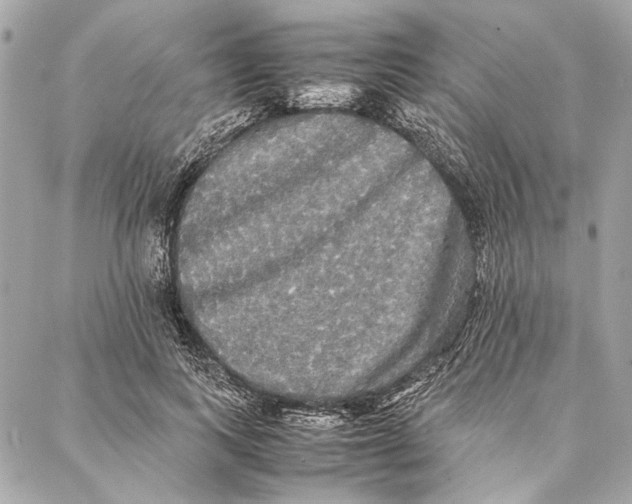 X0000086920743200705071327