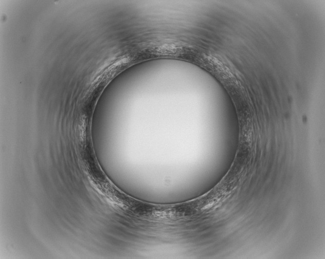 X0000086920744200705071327