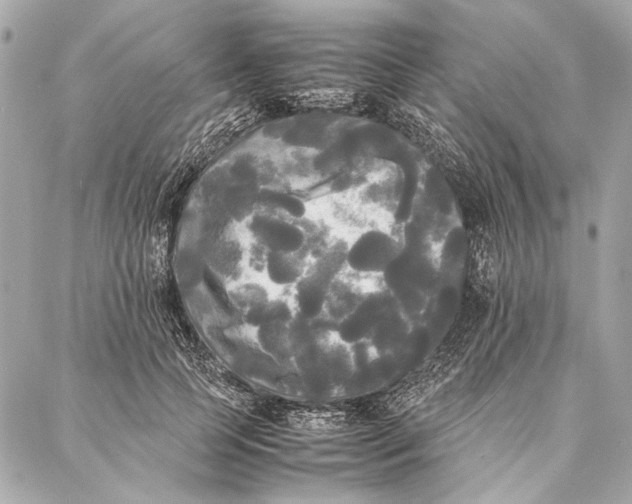 X0000086920745200705071327