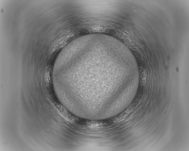 X0000086920746200705071327