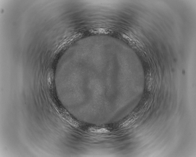 X0000086920747200705071327