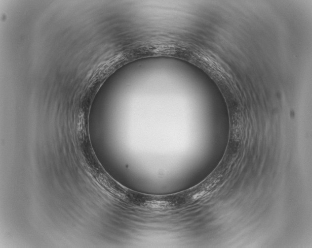 X0000086920748200705071327