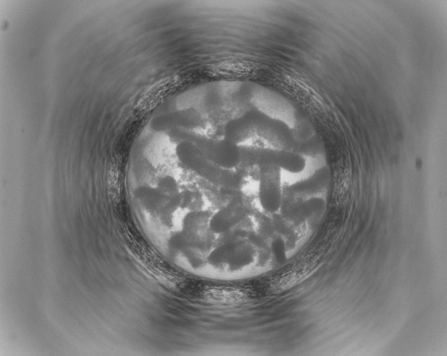 X0000086920749200705071327