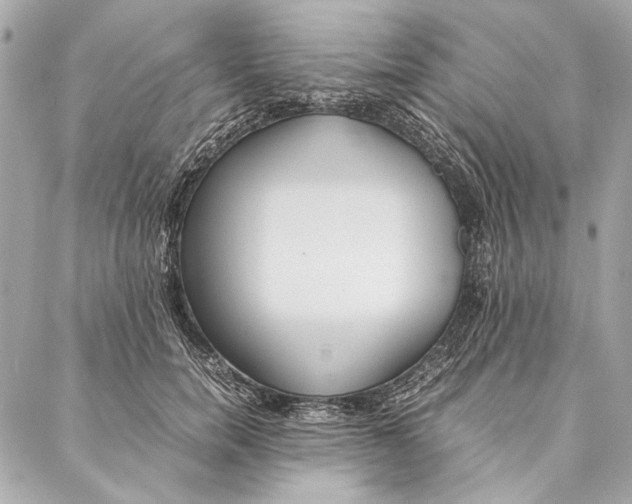 X0000086920750200705071328