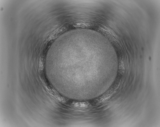 X0000086920751200705071328