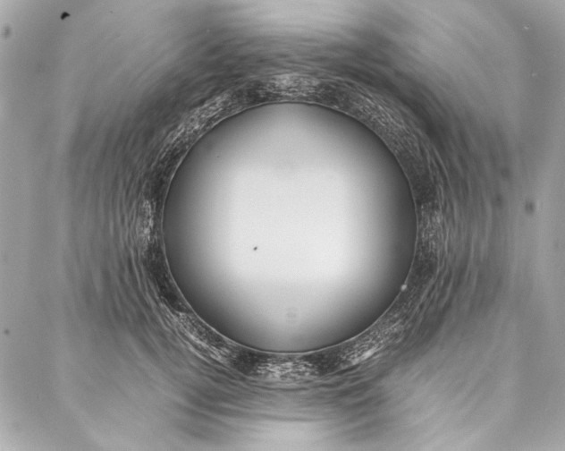 X0000086920752200705071328