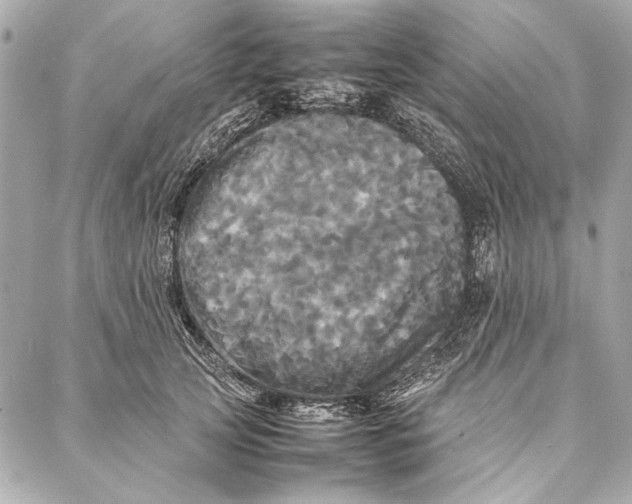 X0000086920753200705071328